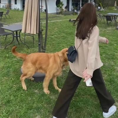 姐妹会的秘密